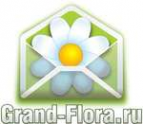 Логотип компании Доставка цветов Гранд Флора (ф-л г.Буинск)